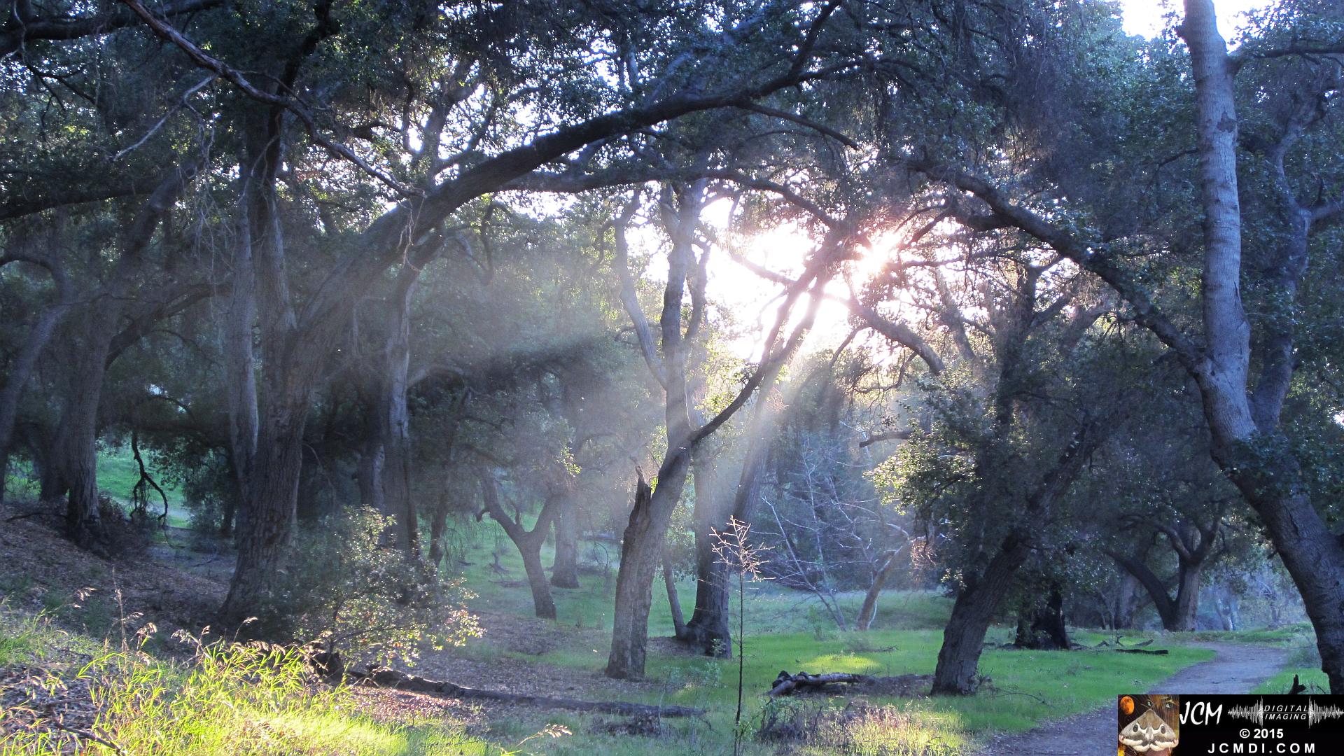 Whitney Canyon sunrays